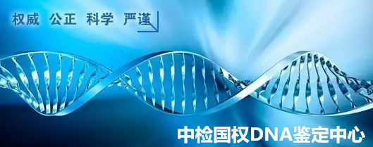 公证_水印.png